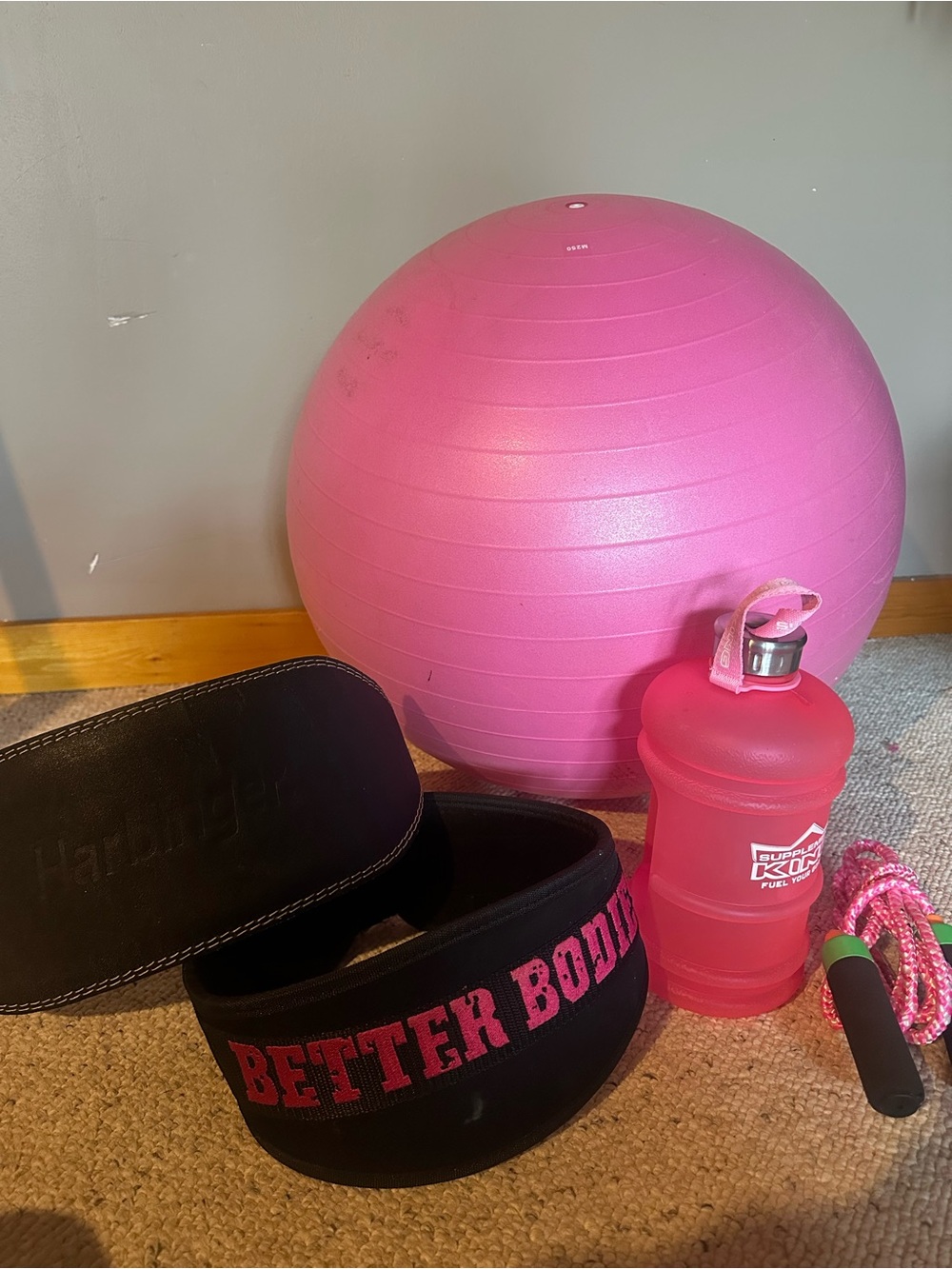 Exersize Ball & lifting belt bundle